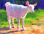 153_Keildoscope_Goat_I
