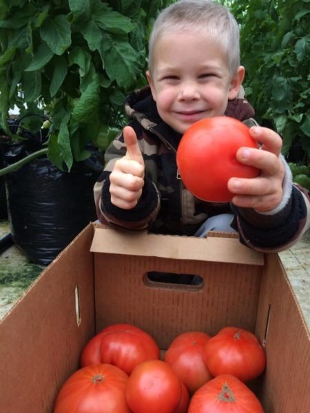 Photo from Boone's Winter Farmers' Market on Facebook