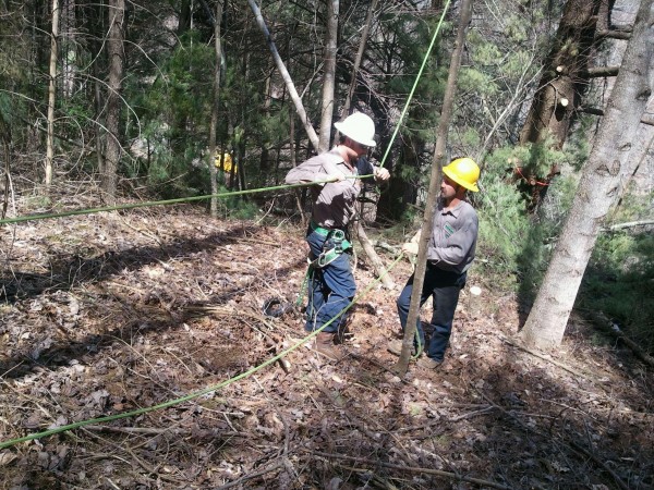 Blue Ridge vegetation management workers tying off the tree.