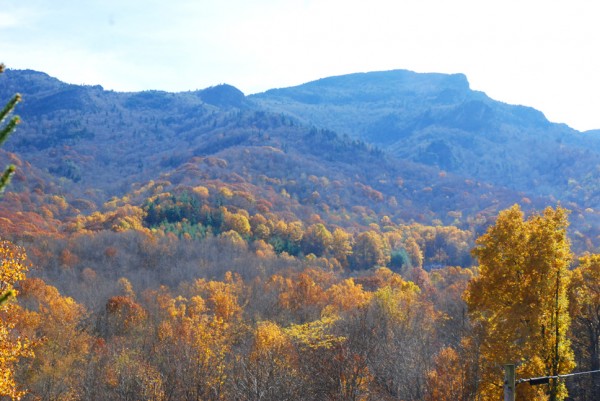 Some fall color still exists at the base of Grandfather Mountain on Tuesday. Photo by Ken Ketchie