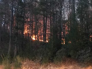 Back burn operations along Sampson Road. 11/22/16