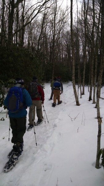 Snowshoe hikes at Grandfather Mountain State Park. Photo provided by Park Ranger Andy Sicard.