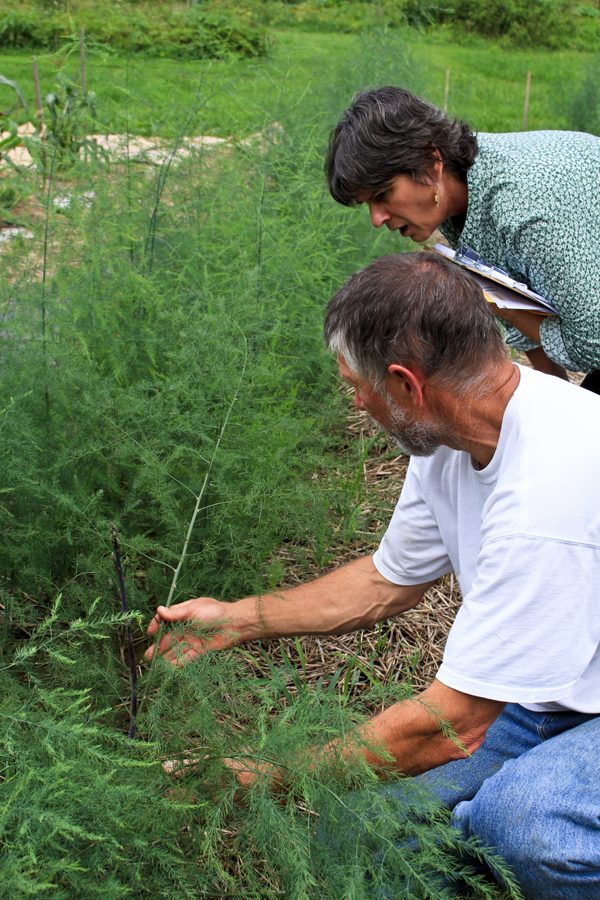 Peter Jankowski shows executive director of BRSOC, Lauri Wilson, the asparagus plants that he has been growing.