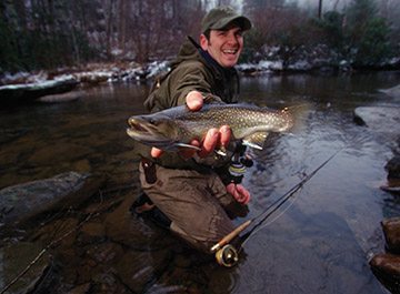 From June 6 until Sept. 30, anglers fishing in delayed harvest trout waters can keep up to seven trout per day — with no bait restrictions and no minimum size limits.