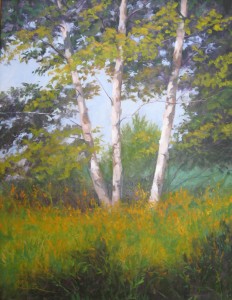 Birches - Oil on Canvas by Kevin Beck