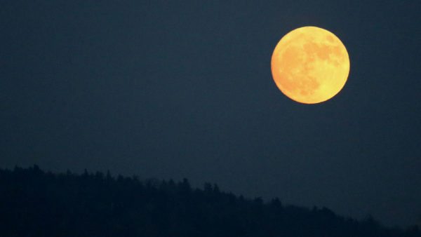 The Sunday night super moonrise above Grandfather Mountain was tinted by smoky air, as numerous wildfires are burning in western North Carolina. Photo by Jim Morton