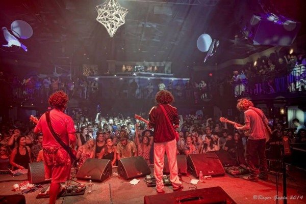 Pigeons Playing Live