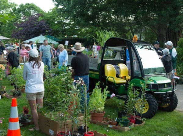 Watauga County Democratic 2016 Plant Sale