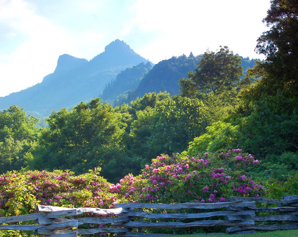 Photo courtesy of Grandfather Mountain
