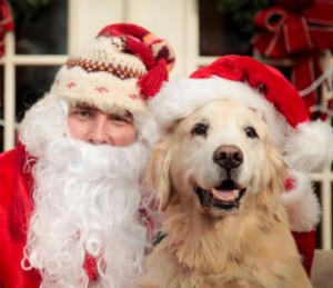 Santa and Goldie