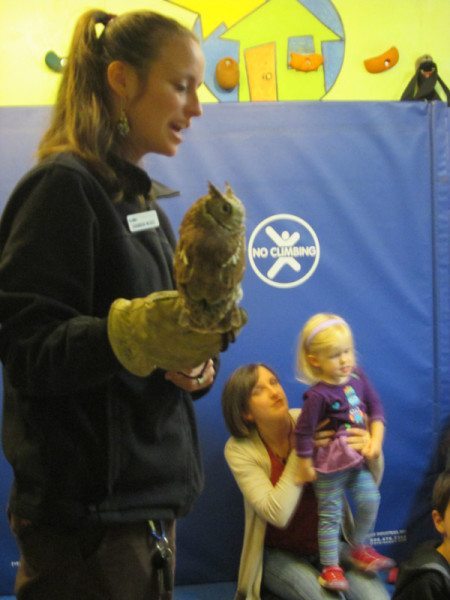 Shannon from Grandfather Mtn shows us an owl birthday bash 2014