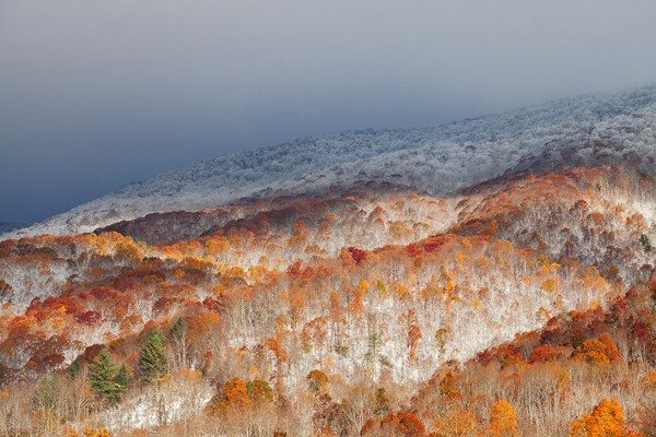 "Merging Seasons" by Daniel Burleson