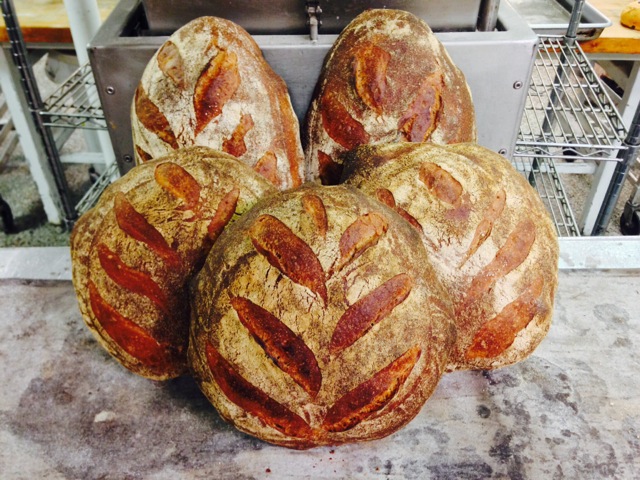 The wheat design is scored onto the surface of the breads before they are baked