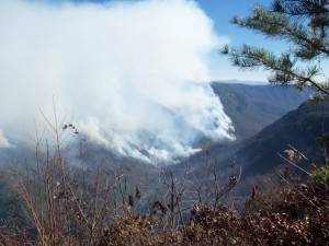 Images of the fire from Thursday. Courtesy of U.S. Forest Service