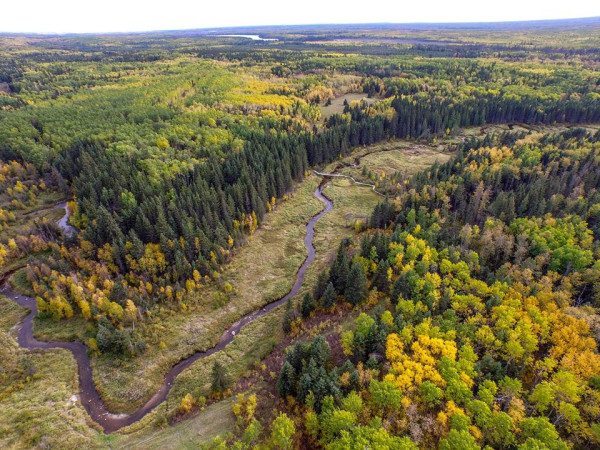 This aerial photo shows how the Ness Creek Site, home of the Northern Lights Bluegrass and Old Tyme Festival, is nestled in the forest of Northern Saskatchewan, Canada. Photo credit: Jon Pepper.