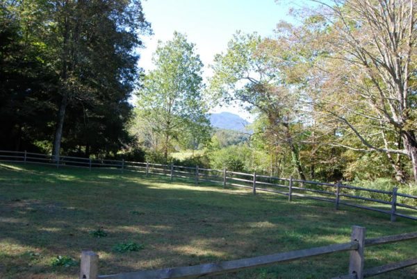 Seen along the planted allee to the river on the walk from the round house is the million dollar view of Grandfather Mountain.