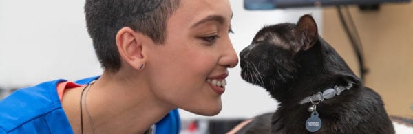 App State and Banfield Pet Hospital® Announce New On-line Vet Tech Program Geared toward Addressing Veterinary Scarcity App State and Banfield Pet Hospital® Announce New On-line Vet Tech Program Geared toward Addressing Veterinary Scarcity