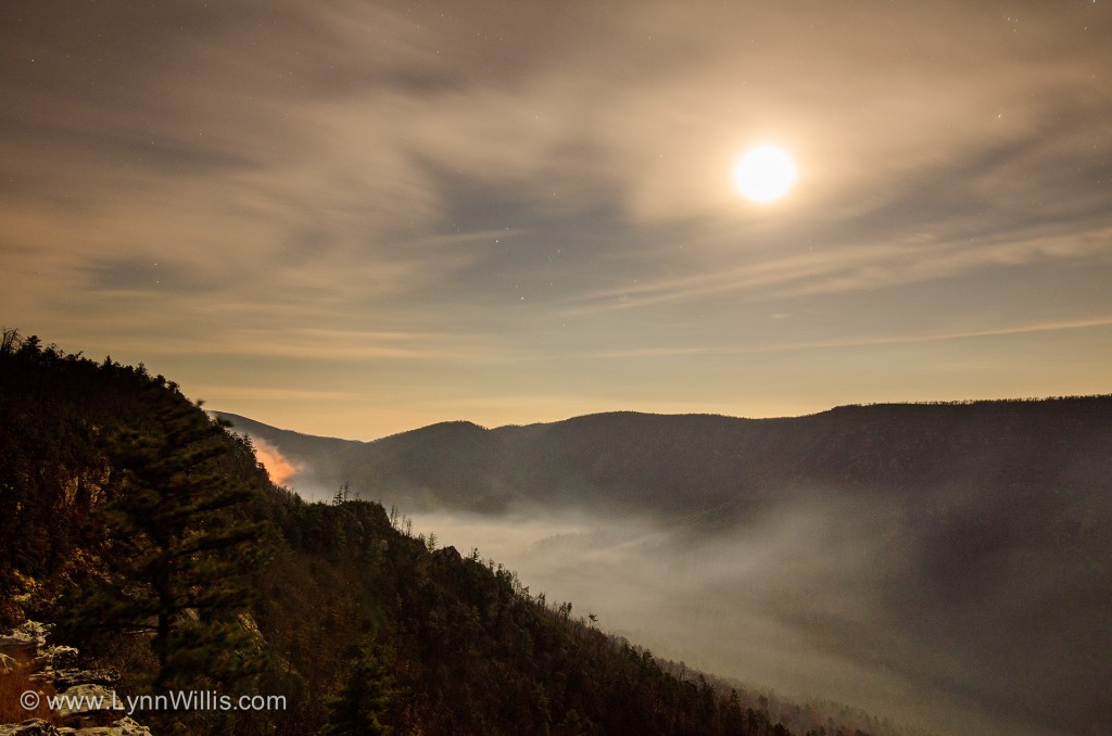  The "Table Rock Fire" in the Linville Gorge Wilderness Area. See more photos at the bottom of this post. Photo by Lynn Willis/www.LynnWillis.com