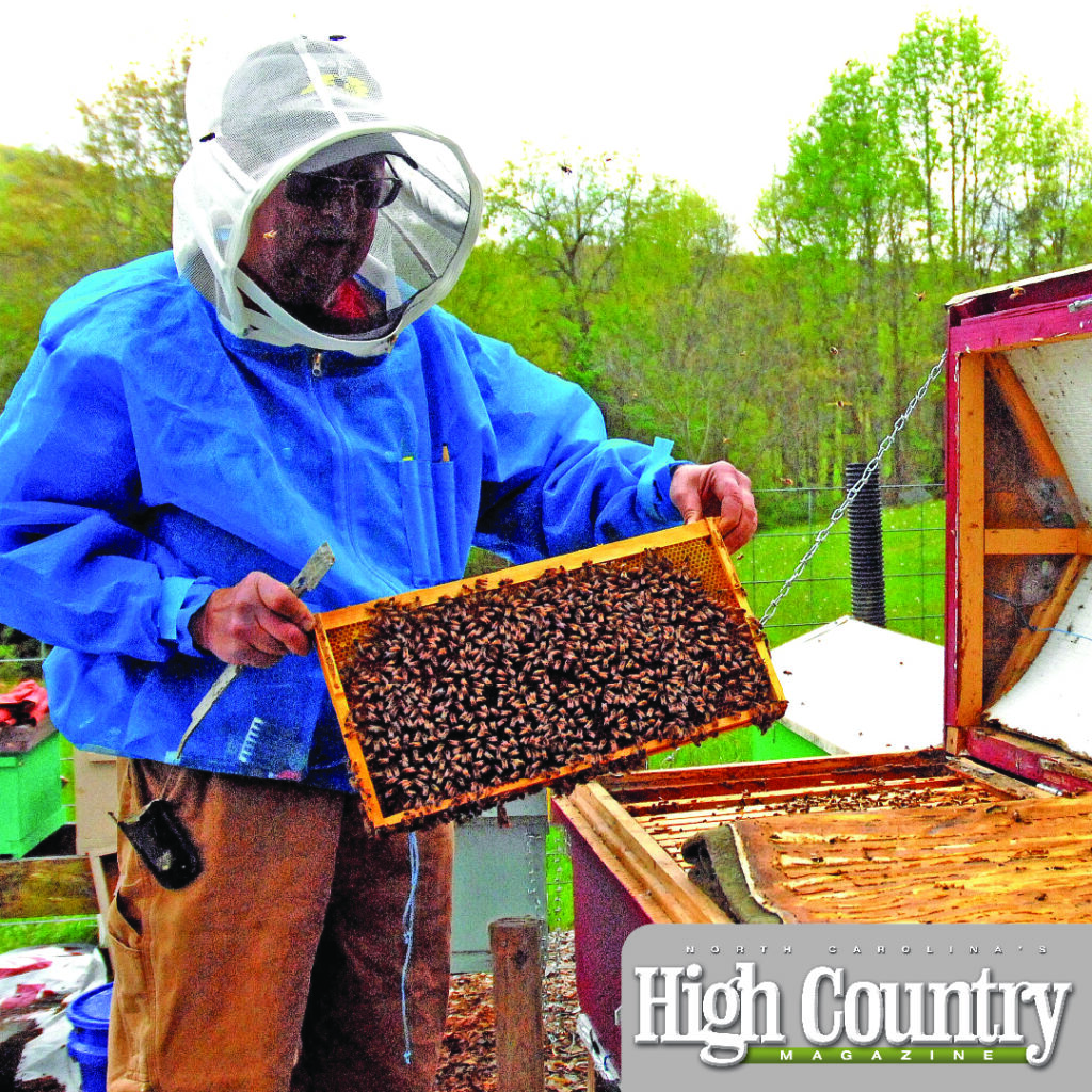 Honey of a Tale: Beekeeping in the High Country - High Country Press