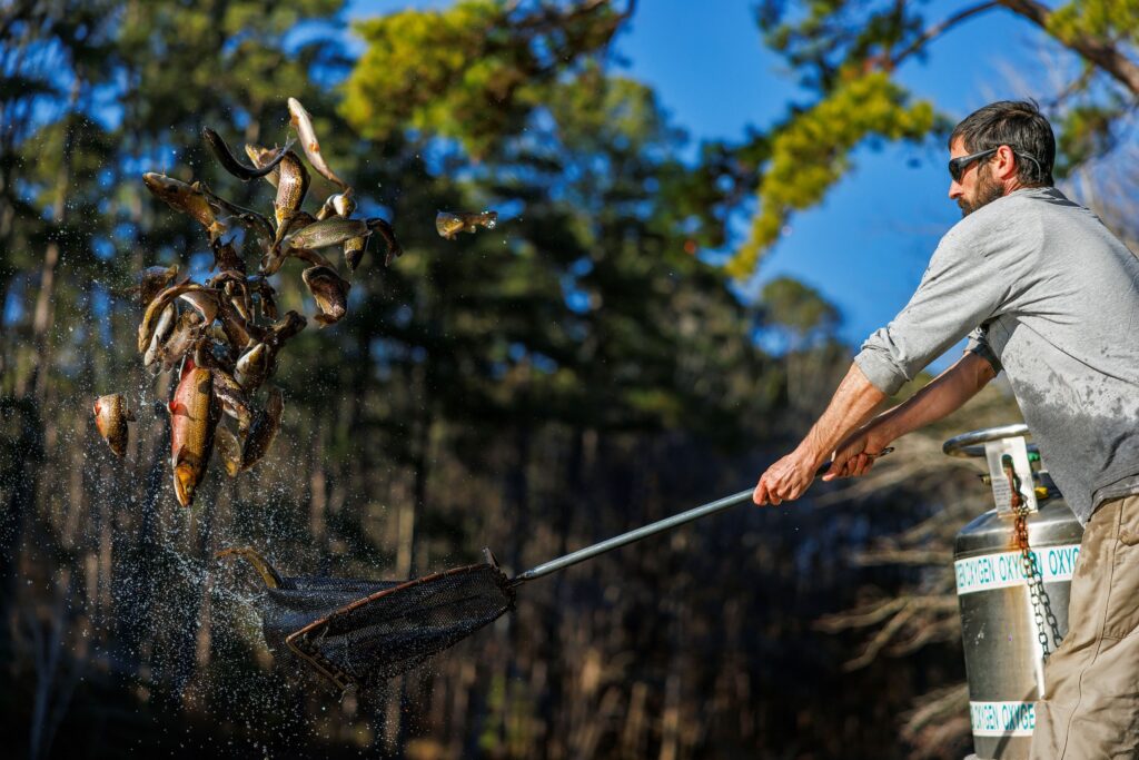 NC trout fishing in 2025